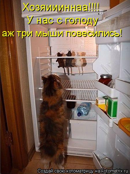 Хозяиииннаа!!!! У нас с голоду аж три мыши повесились!... Котоматрица: Хозяиииннаа!!!! У нас с голоду аж три мыши повесились!