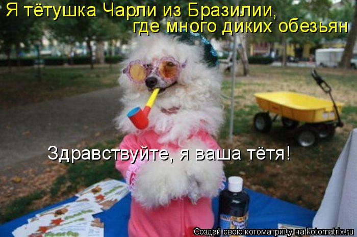 Я тётушка Чарли из Бразилии, где много диких обезьян «Здравствуйте, я ваша тётя!»... Котоматрица: Я тётушка Чарли из Бразилии, где много диких обезьян «Здравствуйте, я ваша тётя!»