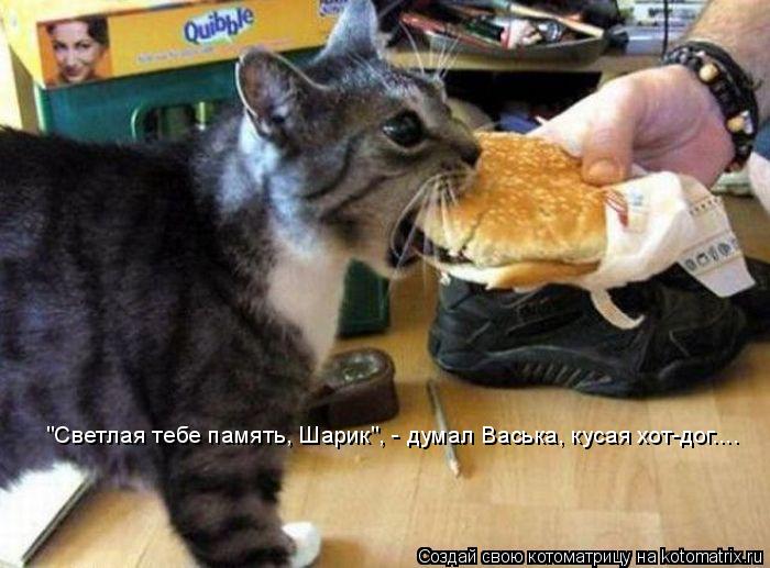 "Светлая тебе память, Шарик", - думал Васька, кусая хот-дог....... Котоматрица: "Светлая тебе память, Шарик", - думал Васька, кусая хот-дог....