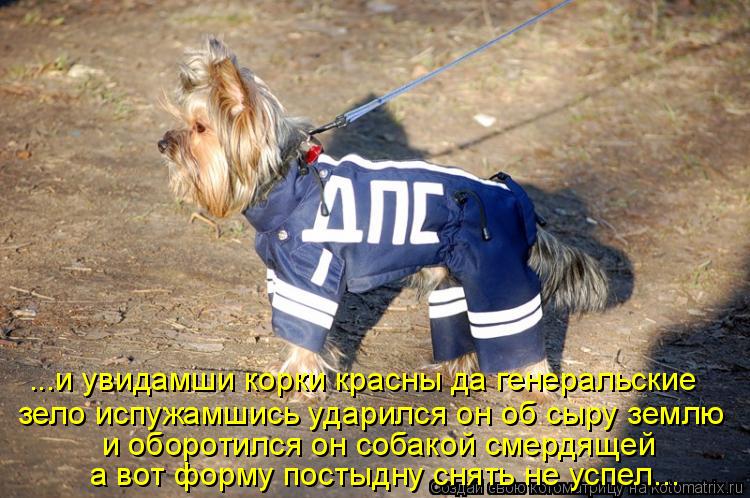 ...и увидамши корки красны да генеральские зело испужамшись ударился он об сыру землю и оборотился он... Котоматрица: ...и увидамши корки красны да генеральские зело испужамшись ударился он об сыру землю и оборотился он собакой смердящей а вот форму постыдн