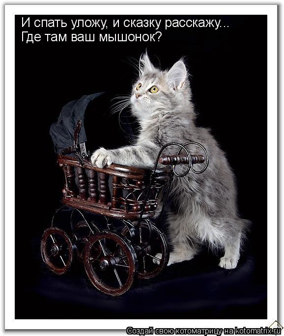 И спать уложу, и сказку расскажу... Где там ваш мышонок?... Котоматрица: И спать уложу, и сказку расскажу... Где там ваш мышонок?