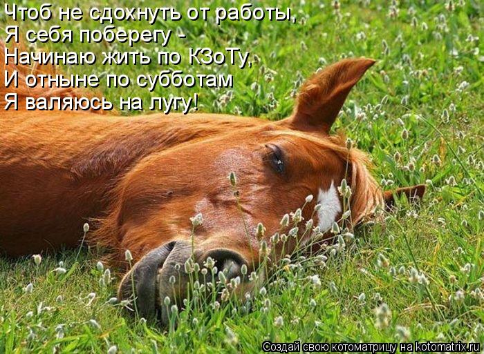 Чтоб не сдохнуть от работы, Я себя поберегу - Начинаю жить по КЗоТу, И отныне по субботам Я валяюсь ... Котоматрица: Чтоб не сдохнуть от работы, Я себя поберегу - Начинаю жить по КЗоТу, И отныне по субботам Я валяюсь на лугу!