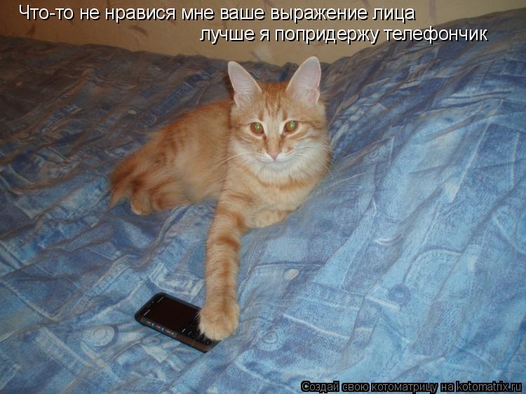 Что-то не нравися мне ваше выражение лица лучше я попридержу телефончик... Котоматрица: Что-то не нравися мне ваше выражение лица лучше я попридержу телефончик