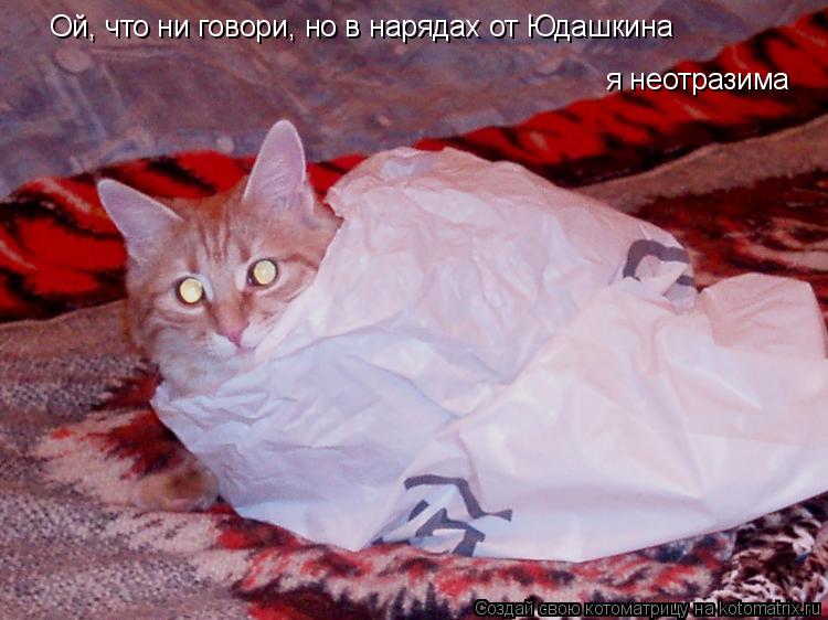 Ой, что ни говори, но в нарядах от Юдашкина я неотразима... Котоматрица: Ой, что ни говори, но в нарядах от Юдашкина я неотразима