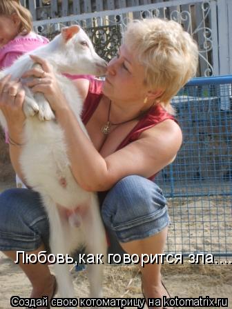 Любовь,как говорится зла....... Котоматрица: Любовь,как говорится зла....