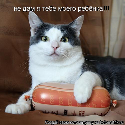 не дам я тебе моего ребёнка!!!... Котоматрица: не дам я тебе моего ребёнка!!!