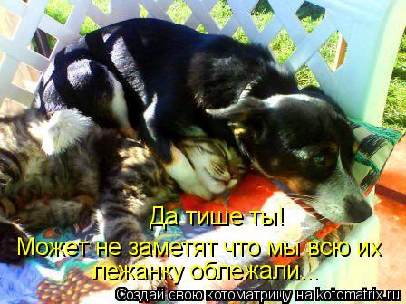 Да тише ты! Может не заметят что мы всю их лежанку облежали...... Котоматрица: Да тише ты! Может не заметят что мы всю их лежанку облежали...