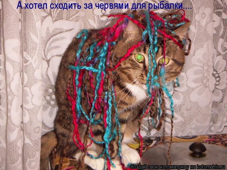 А хотел сходить за червями для рыбалки....... Котоматрица: А хотел сходить за червями для рыбалки....