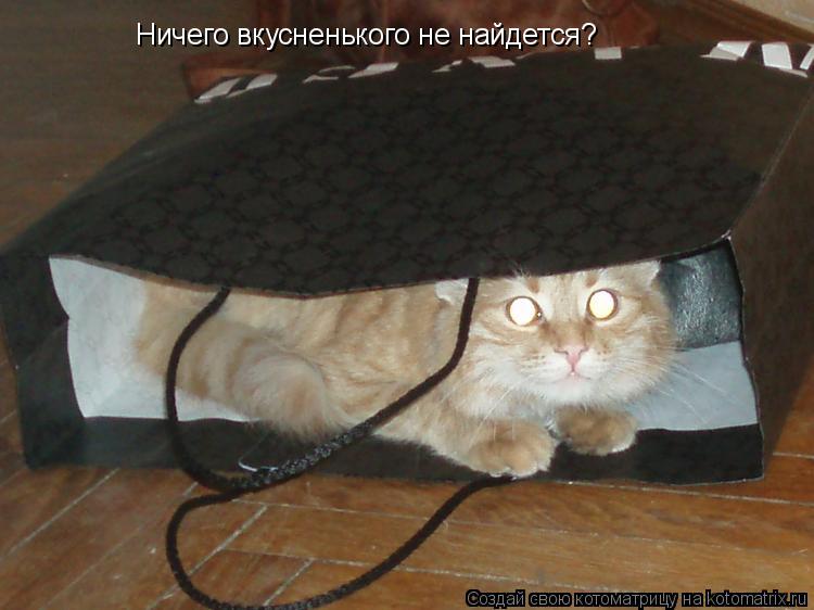 Ничего вкусненького не найдется?... Котоматрица: Ничего вкусненького не найдется?