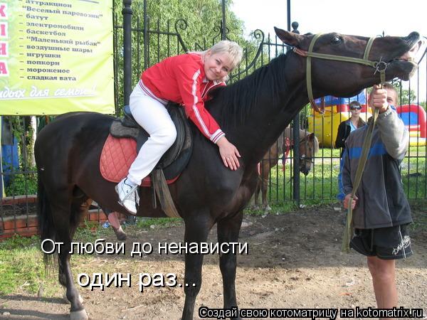 От любви до ненависти один раз...... Котоматрица: От любви до ненависти один раз...