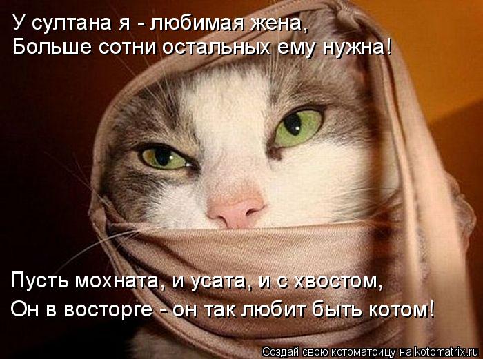 У султана я - любимая жена, Больше сотни остальных ему нужна! Пусть мохната, и усата, и с хвостом, Он... Котоматрица: У султана я - любимая жена, Больше сотни остальных ему нужна! Пусть мохната, и усата, и с хвостом, Он в восторге - он так любит быть котом!