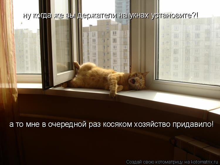 ну когда же вы держатели на укнах установите?! а то мне в очередной раз косяком хозяйство придавило!... Котоматрица: ну когда же вы держатели на укнах установите?! а то мне в очередной раз косяком хозяйство придавило!