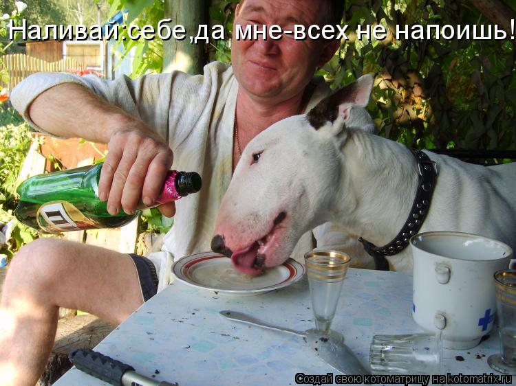 Наливай:себе,да мне-всех не напоишь!!!... Котоматрица: Наливай:себе,да мне-всех не напоишь!!!