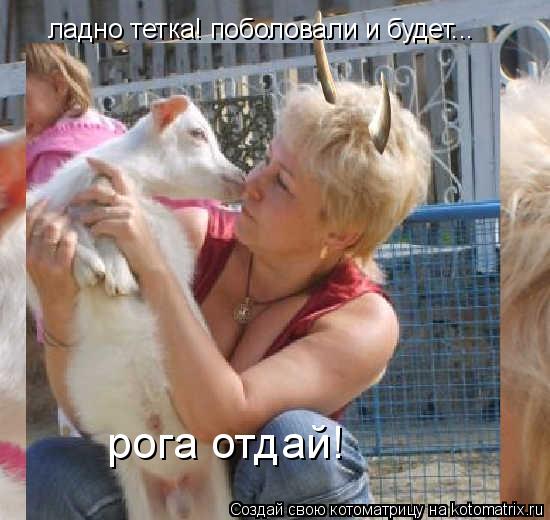 ладно тетка! поболовали и будет... рога отдай!... Котоматрица: ладно тетка! поболовали и будет... рога отдай!