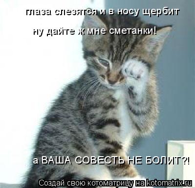 глаза слезятся и в носу щербит ну дайте ж мне сметанки! а ВАША СОВЕСТЬ НЕ БОЛИТ?!... Котоматрица: глаза слезятся и в носу щербит ну дайте ж мне сметанки! а ВАША СОВЕСТЬ НЕ БОЛИТ?!