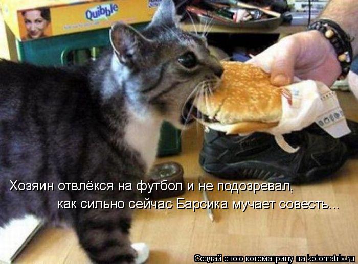 Хозяин отвлёкся на футбол и не подозревал, как сильно сейчас Барсика мучает совесть...... Котоматрица: Хозяин отвлёкся на футбол и не подозревал, как сильно сейчас Барсика мучает совесть...