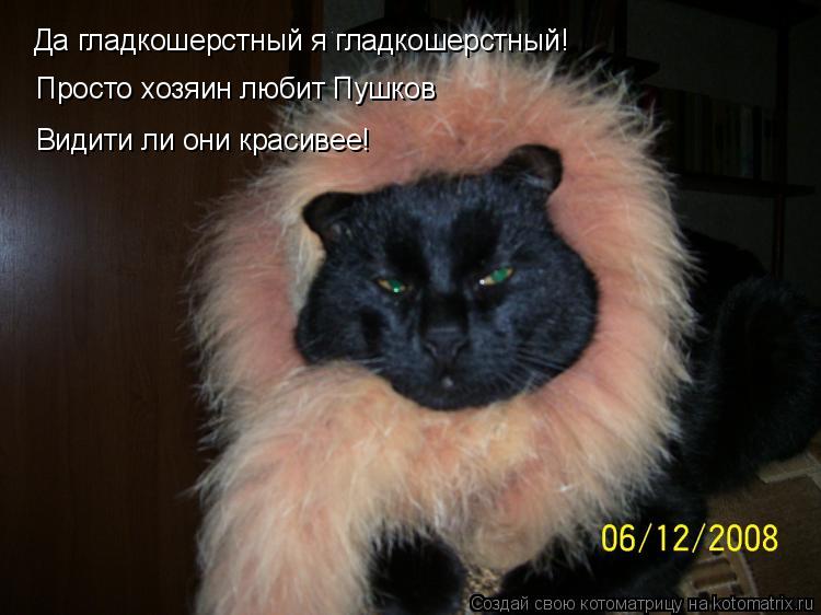 Да гладкошерстный я гладкошерстный! Просто хозяин любит Пушков Видити ли они красивее!... Котоматрица: Да гладкошерстный я гладкошерстный! Просто хозяин любит Пушков Видити ли они красивее!
