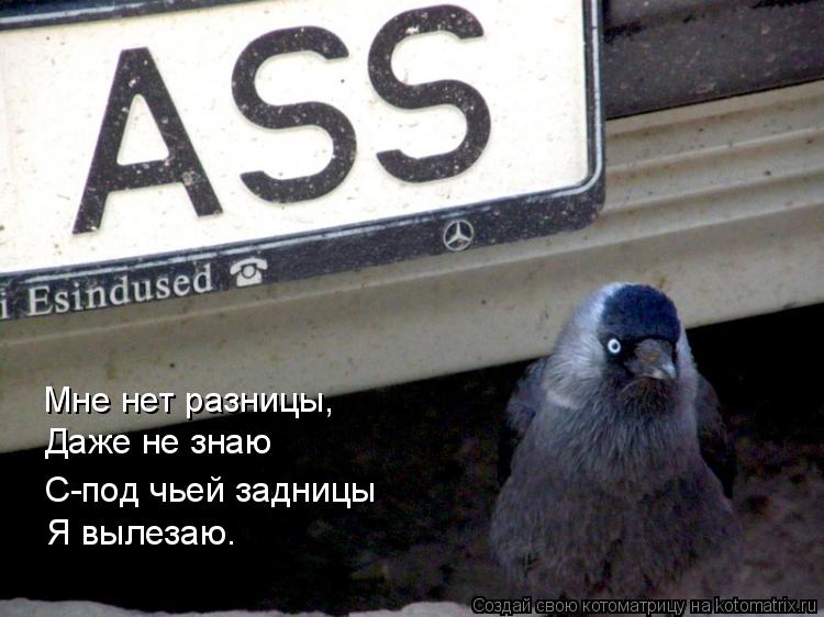 Мне нет разницы, Даже не знаю Из-под чьей задницы Я вылезаю. С-под чьей задницы... Котоматрица: Мне нет разницы, Даже не знаю Из-под чьей задницы Я вылезаю. С-под чьей задницы