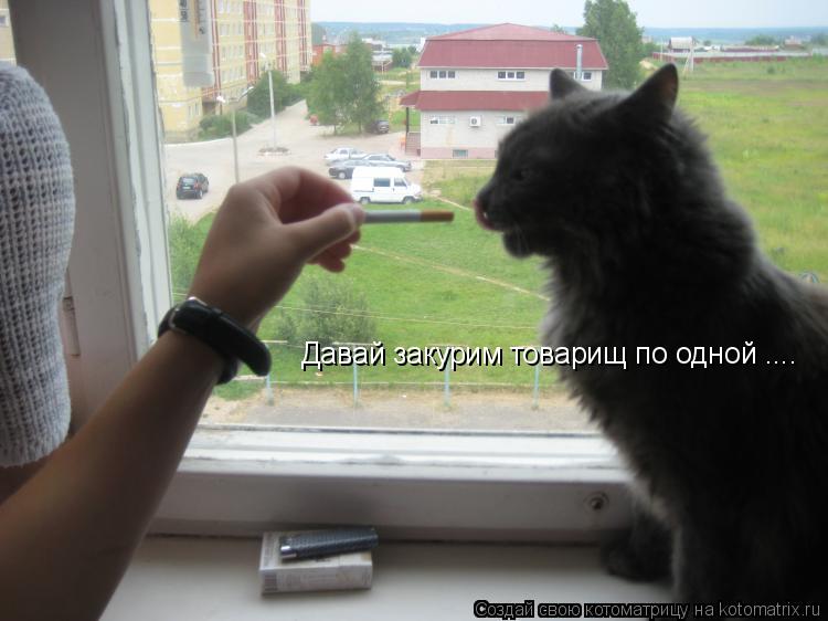 Давай закурим товарищ по одной ....... Котоматрица: Давай закурим товарищ по одной ....