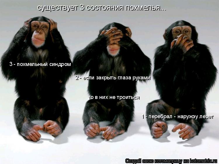 существует 3 состояния похмелья... 1 - перебрал - наружэу лезет 2 - если закрыть глаза руками то в н... Котоматрица: существует 3 состояния похмелья... 1 - перебрал - наружэу лезет 2 - если закрыть глаза руками то в них не троиться 3 - похмельный синдром