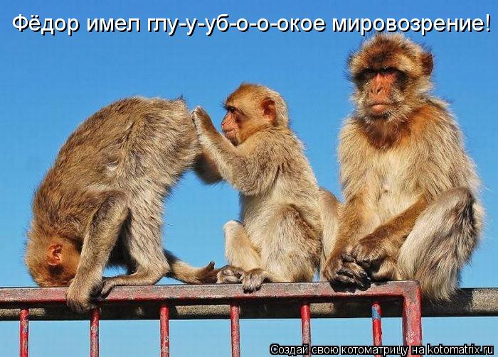 Фёдор имел глу-у-уб-о-о-окое мировозрение!... Котоматрица: Фёдор имел глу-у-уб-о-о-окое мировозрение!
