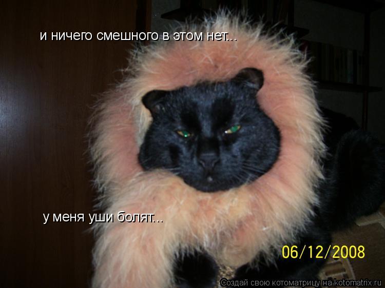 и ничего смешного в этом нет... у меня уши болят...... Котоматрица: и ничего смешного в этом нет... у меня уши болят...