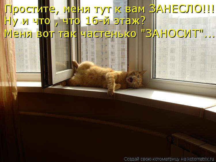 Простите, меня тут к вам ЗАНЕСЛО!!! Ну и что , что 16-й этаж? Меня вот так частенько "ЗАНОСИТ"...... Котоматрица: Простите, меня тут к вам ЗАНЕСЛО!!! Ну и что , что 16-й этаж? Меня вот так частенько "ЗАНОСИТ"...