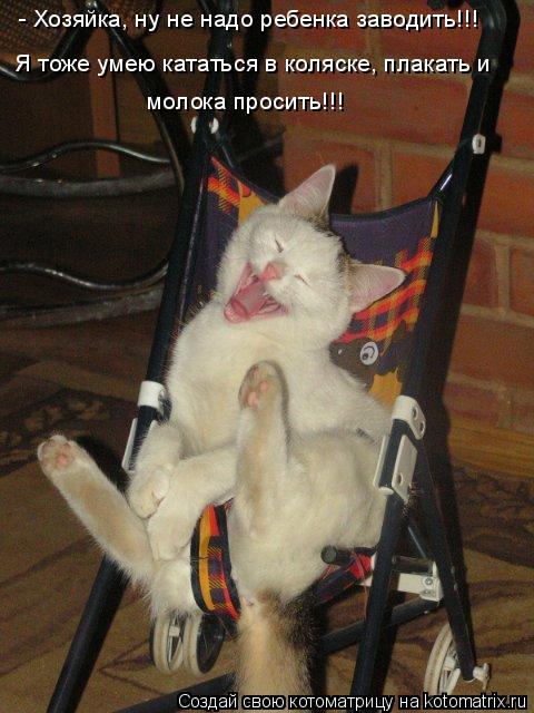 - Хозяйка, ну не надо ребенка заводить!!! Я тоже умею кататься в коляске, плакать и молока просить!!!... Котоматрица: - Хозяйка, ну не надо ребенка заводить!!! Я тоже умею кататься в коляске, плакать и молока просить!!!
