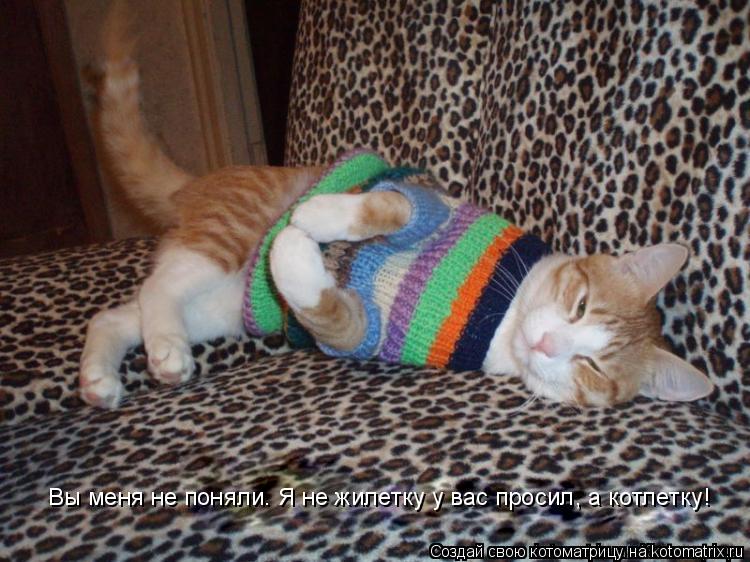 Вы меня не поняли. Я не жилетку у вас просил, а котлетку!... Котоматрица: Вы меня не поняли. Я не жилетку у вас просил, а котлетку!
