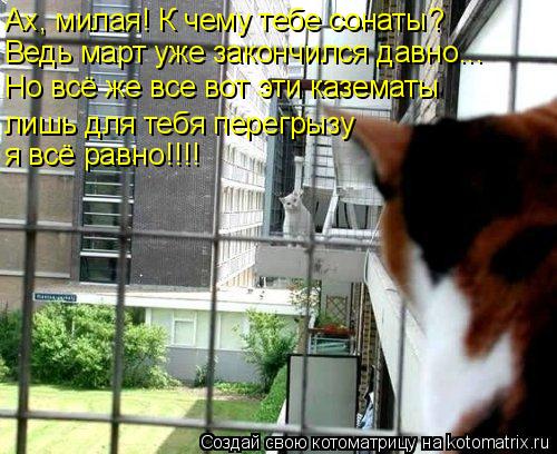 Ах, милая! К чему тебе сонаты? Ведь март уже закончился давно... Но всё же все вот эти казематы я всё... Котоматрица: Ах, милая! К чему тебе сонаты? Ведь март уже закончился давно... Но всё же все вот эти казематы я всё равно!!!! лишь для тебя перегрызу