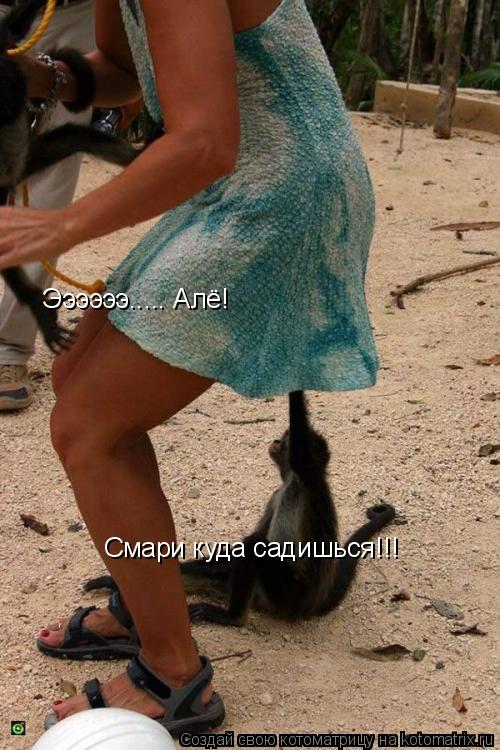 Ээээээ..... Алё! Смари куда садишься!!!... Котоматрица: Ээээээ..... Алё! Смари куда садишься!!!