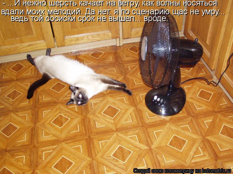 - ...И нежно шерсть качает на ветру, как волны носяться вдали моих мелодий. Да нет, я по сценарию ща... Котоматрица: - ...И нежно шерсть качает на ветру, как волны носяться вдали моих мелодий. Да нет, я по сценарию щас не умру... ведь той сосиски срок не вышел...
