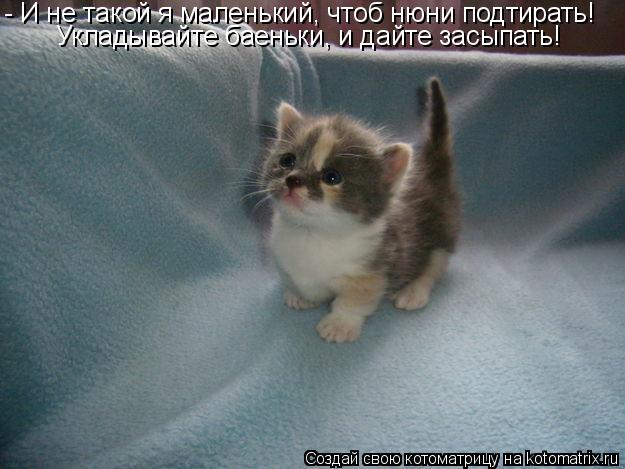 - И не такой я маленький, чтоб нюни подтирать! Укладывайте баеньки, и дайте засыпать!... Котоматрица: - И не такой я маленький, чтоб нюни подтирать! Укладывайте баеньки, и дайте засыпать!