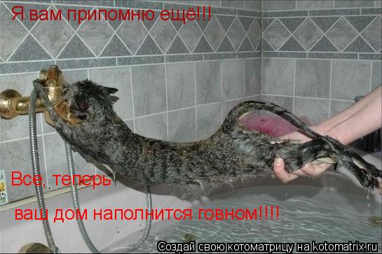 Я вам припомню ещё!!! ваш дом наполнится говном!!!! Все, теперь... Котоматрица: Я вам припомню ещё!!! ваш дом наполнится говном!!!! Все, теперь