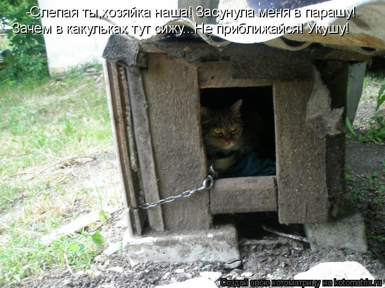 -Слепая ты,хозяйка наша! Засунула меня в парашу! Зачем в какульках тут сижу...Не приближайся! Укушу!... Котоматрица: -Слепая ты,хозяйка наша! Засунула меня в парашу! Зачем в какульках тут сижу...Не приближайся! Укушу!