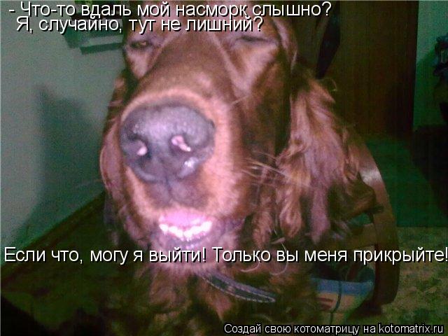 - Что-то вдаль мой насморк слышно? Я, случайно, тут не лишний? Если что, могу я выйти! Только вы меня... Котоматрица: - Что-то вдаль мой насморк слышно? Я, случайно, тут не лишний? Если что, могу я выйти! Только вы меня прикрыйте!