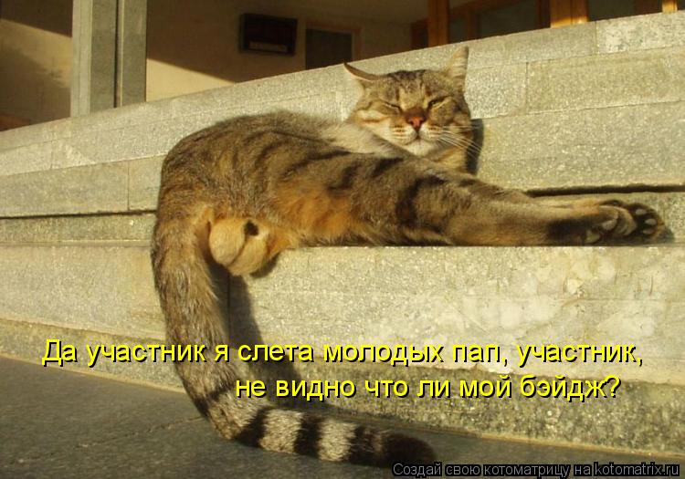 Котоматрица: Да участник я слета молодых пап, участник,  не видно что ли мой бэйдж?