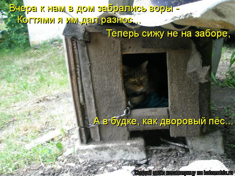 Теперь сижу не на заборе, А в будке, как дворовый пёс... Вчера к нам в дом забрались воры - Когтями ... Котоматрица: Теперь сижу не на заборе, А в будке, как дворовый пёс... Вчера к нам в дом забрались воры - Когтями я им дал разнос...
