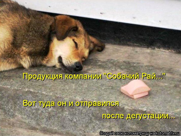 Продукция компании "Собачий Рай..." после дегустации... Вот туда он и отправился... Котоматрица: Продукция компании "Собачий Рай..." после дегустации... Вот туда он и отправился