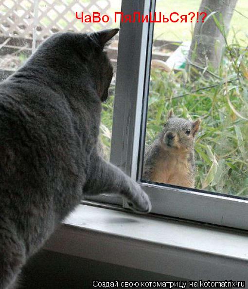 ЧаВо ПяЛиШьСя?!?... Котоматрица: ЧаВо ПяЛиШьСя?!?