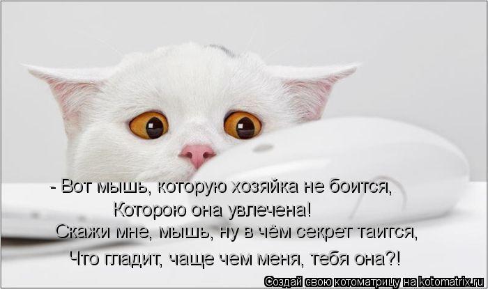 - Вот мышь, которую хозяйка не боится, Которою она увлечена! Скажи мне, мышь, ну в чём секрет таится,... Котоматрица: - Вот мышь, которую хозяйка не боится, Которою она увлечена! Скажи мне, мышь, ну в чём секрет таится, Что гладит, чаще чем меня, тебя она?!