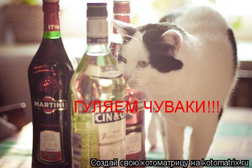 ГУЛЯЕМ ЧУВАКИ!!!... Котоматрица: ГУЛЯЕМ ЧУВАКИ!!!
