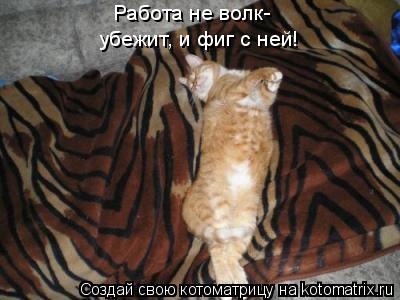 Работа не волк- убежит, и фиг с ней убежит, и фиг с ней!... Котоматрица: Работа не волк- убежит, и фиг с ней убежит, и фиг с ней!