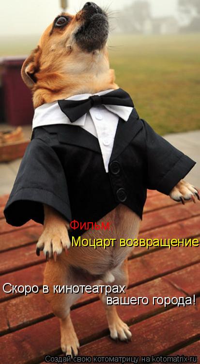 Котоматрица: Моцарт возвращение Фильм: Скоро в кинотеатрах вашего города!