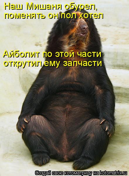 Наш Мишаня обурел, поменять он пол хотел Айболит по этой части открутил ему запчасти... Котоматрица: Наш Мишаня обурел, поменять он пол хотел Айболит по этой части открутил ему запчасти