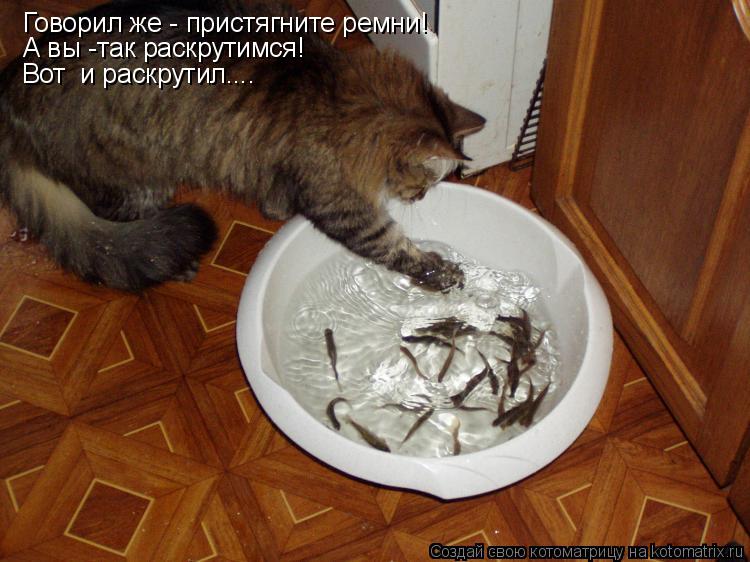 Котоматрица: Говорил же - пристягните ремни!  А вы -так раскрутимся! Вот  и раскрутил....