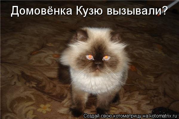 Домовёнка Кузю вызывали?... Котоматрица: Домовёнка Кузю вызывали?