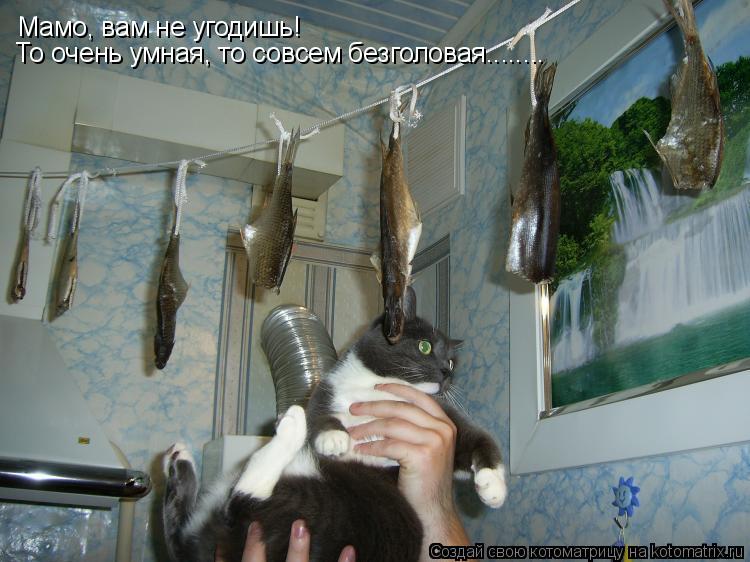 Котоматрица: Мамо, вам не угодишь! То очень умная, то совсем безголовая........