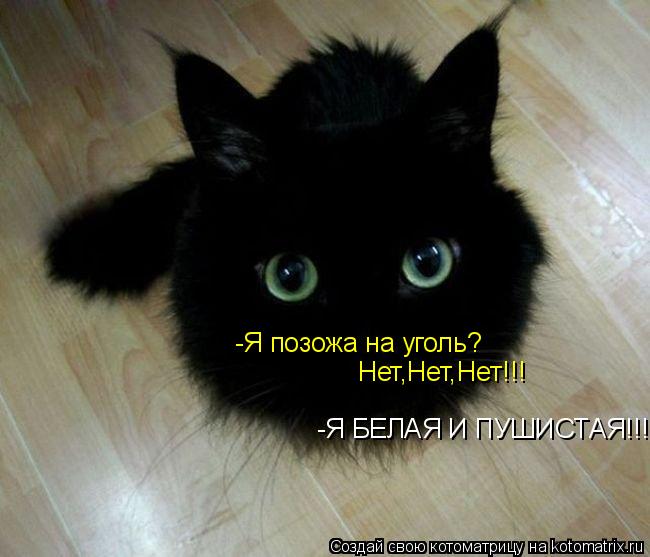 Котоматрица: -Я позожа на уголь? Нет,Нет,Нет!!! -Я БЕЛАЯ И ПУШИСТАЯ!!!