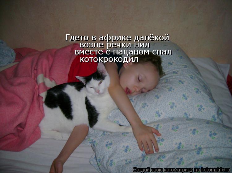 Котоматрица: Гдето в африке далёкой возле речки нил вместе с пацаном спал котокрокодил